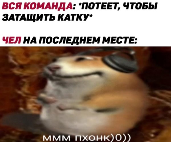 Мемы с хомяками