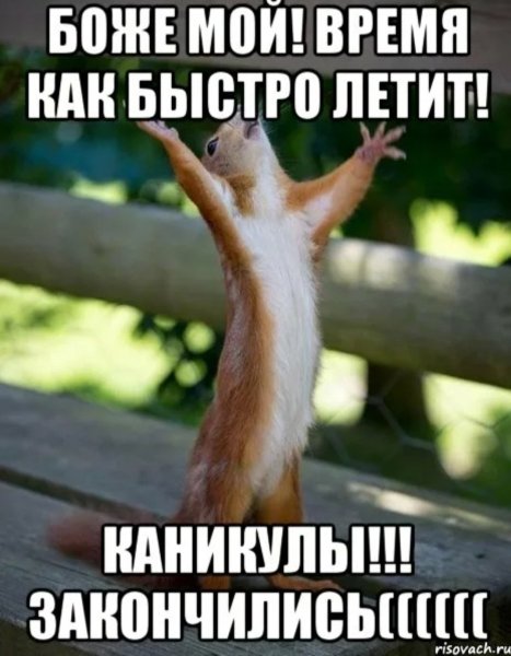 Каникулы кончились картинки