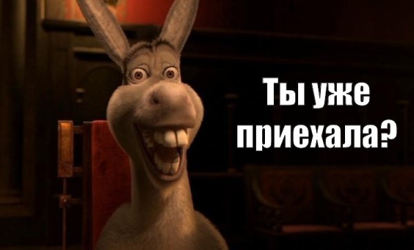 Осел Шрек Мем