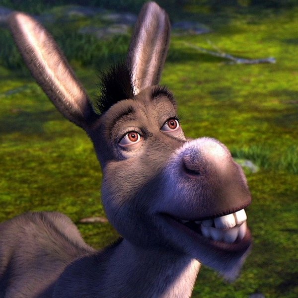 Осел конь Шрек 2