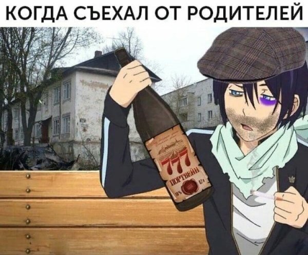 Бездомный Бог Ято алкаш