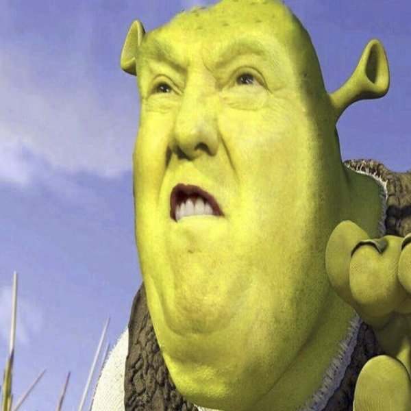Шрек Мем