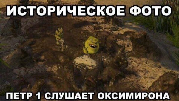 Мем Шрек и Петр 1
