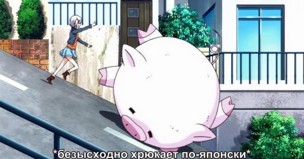 Аниме поросенок