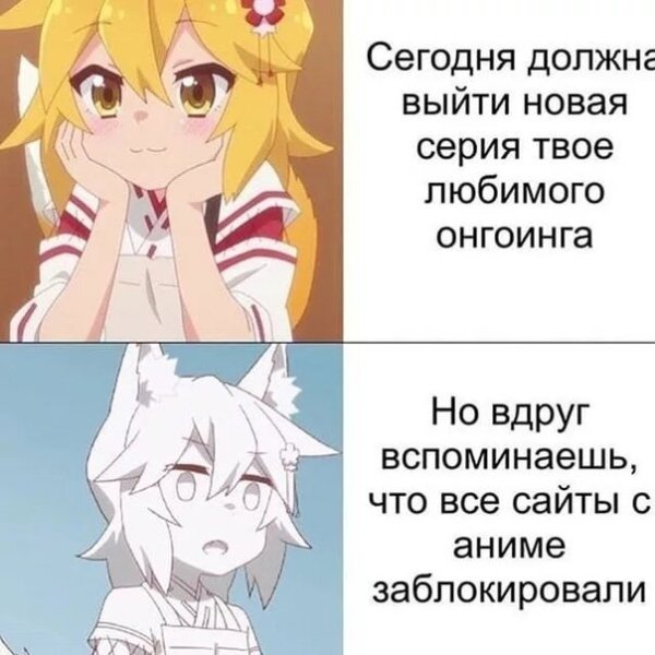 Сенко аниме мемы