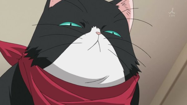 Кот из аниме