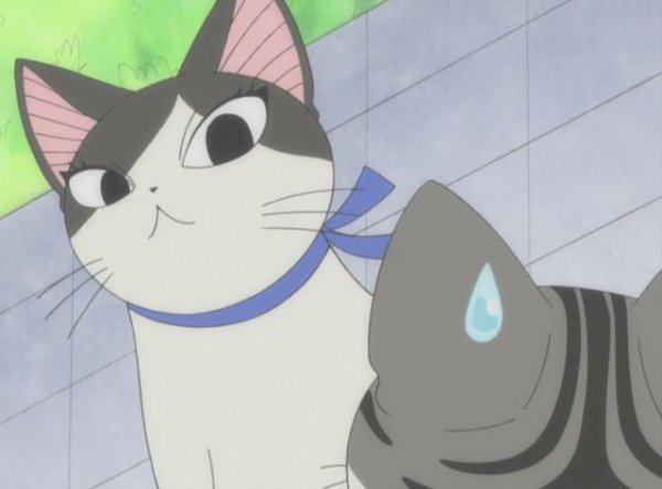 Беременная кошечка аниме
