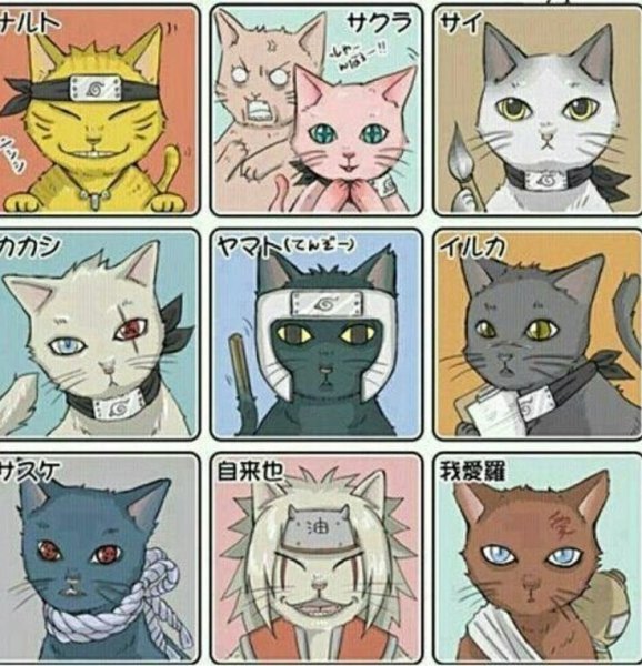 Наруто котик