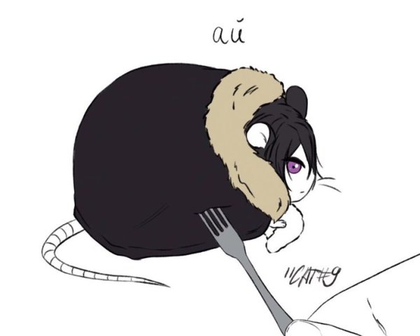 Достоевский БСД крыса