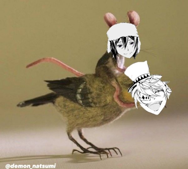 Гоголь и Федор БСД