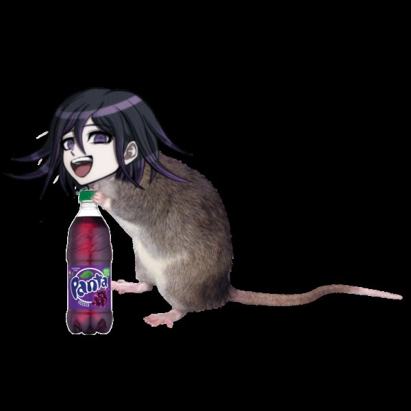 Кокичи Ома Мем