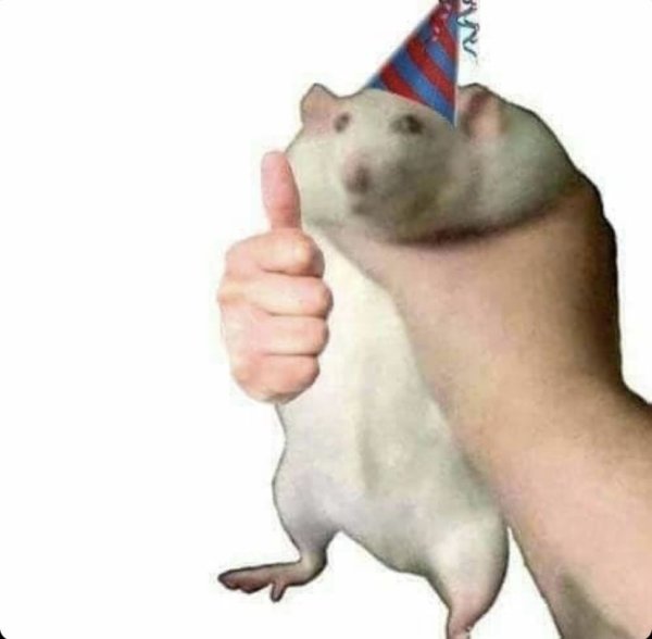 Лови хомяка