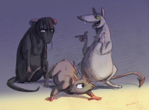 Аниме крыса