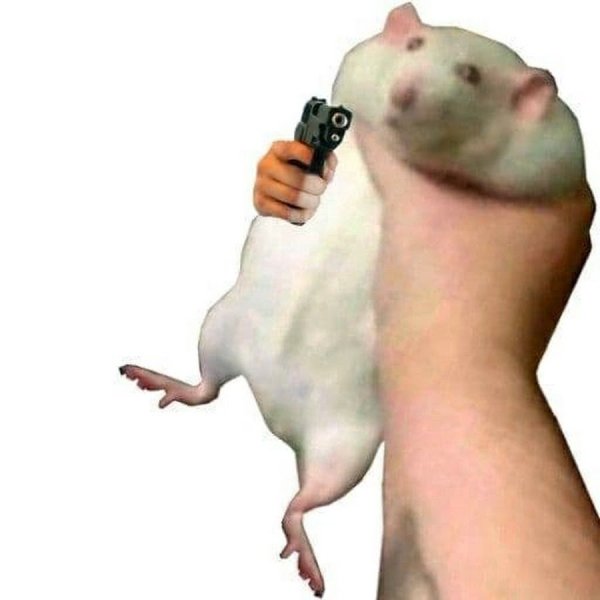 Поймал хомяка