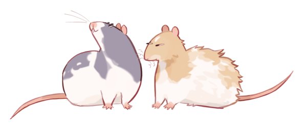 Крыса милый арт