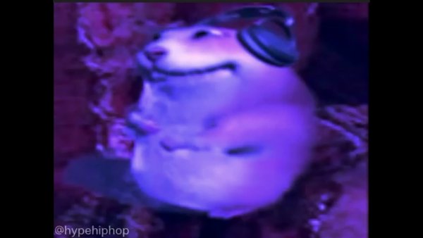 Лютый хомяк