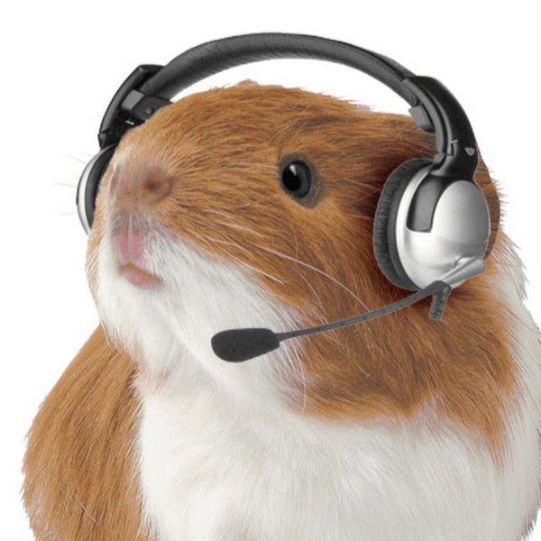 Хомячок в наушниках