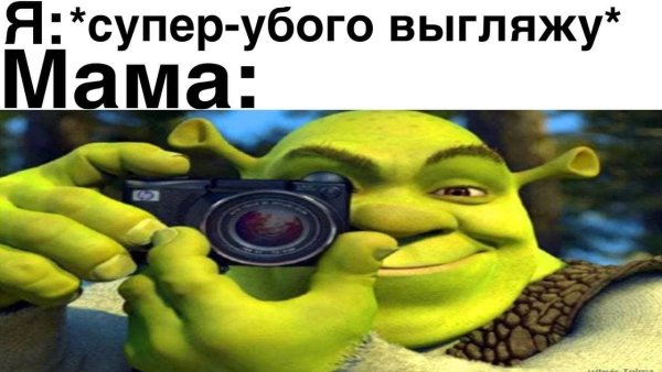 Со шреком и фотоаппаратом