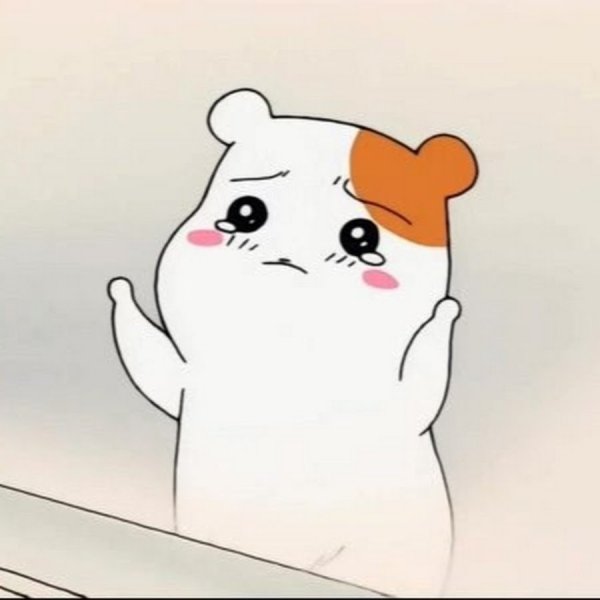 Хомяк Эбичу плачет