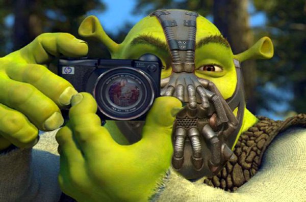 Шрек в противогазе