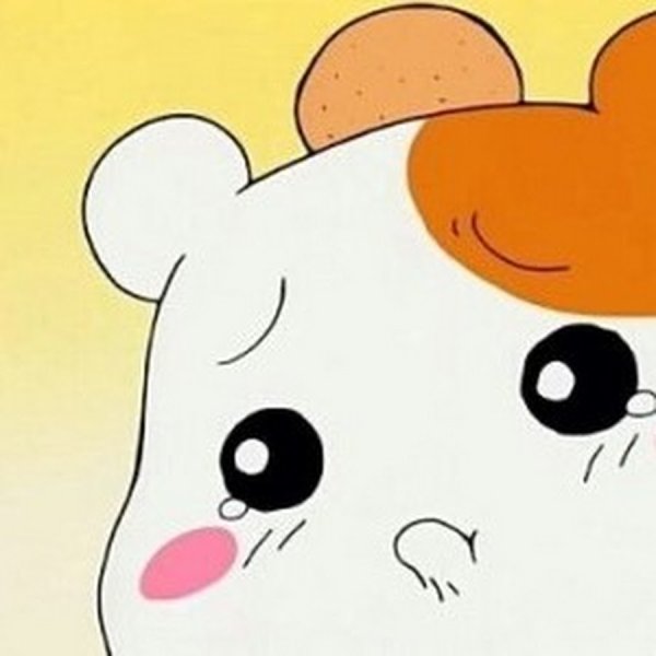 Хомяк Эбичу плачет