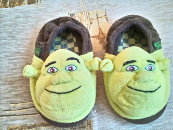 Сланцы Шрек