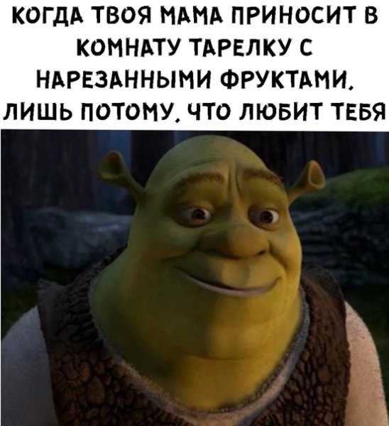 Шрек мемы