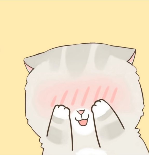 Кот смущается