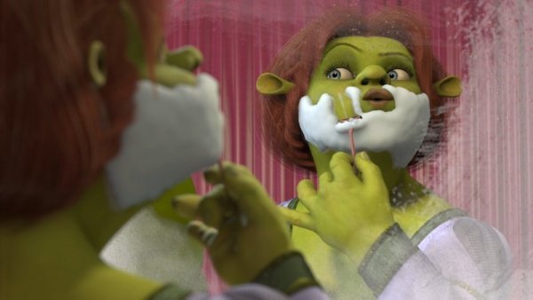 Фиона из Шрека Мем