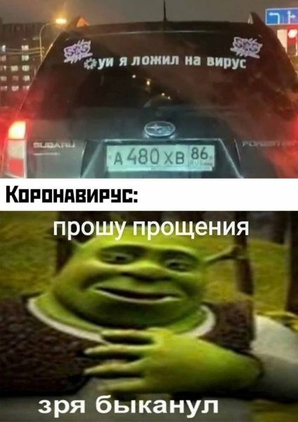 Мем со Шреком простите зря БЫКАНУЛ