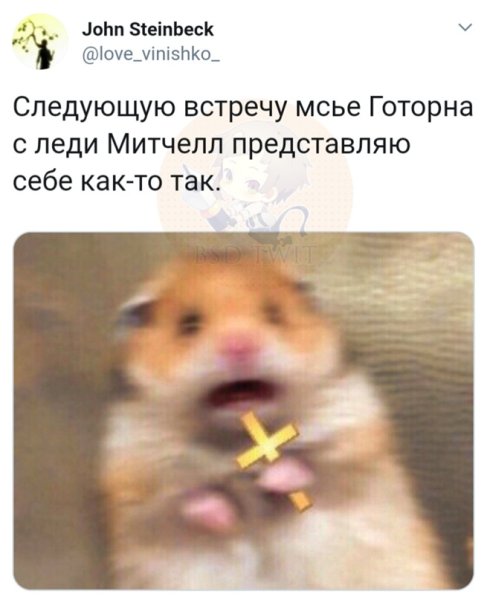 Человек хомяк