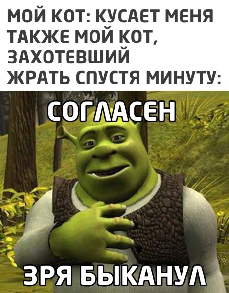 Мемы со Шреком зря БЫКАНУЛ