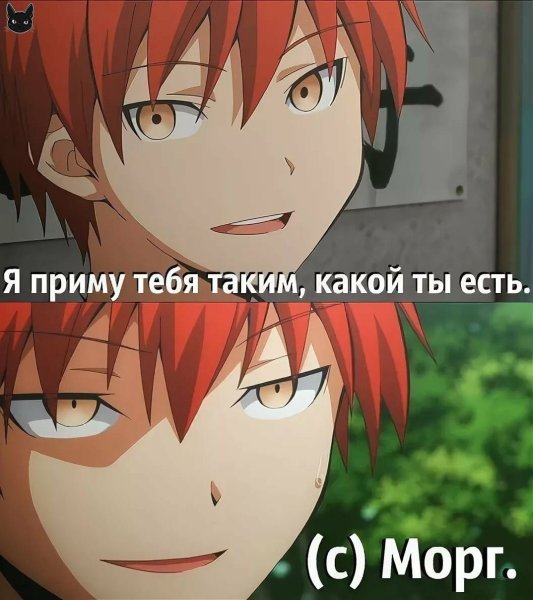 Смешные мемы из аниме