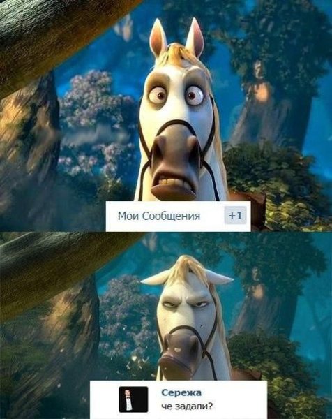 Ну и бредятина Шрек Мем