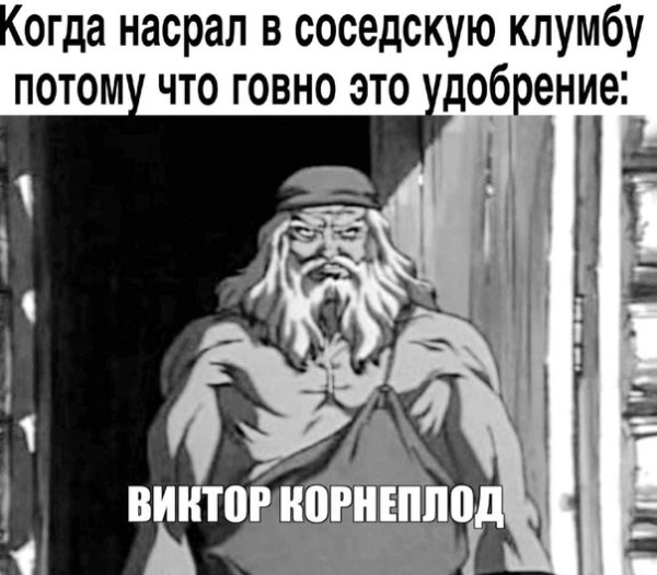 Виктор корнеплод