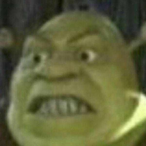 Шрек упоротость