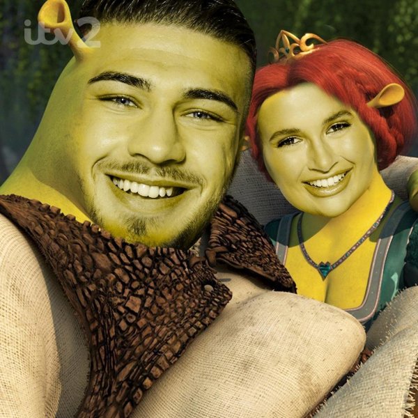 Шрек и Фиона 18