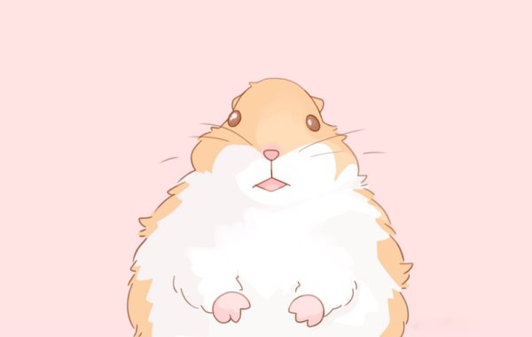 Милые хомячки