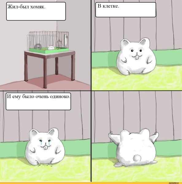 Мемы с хомяками