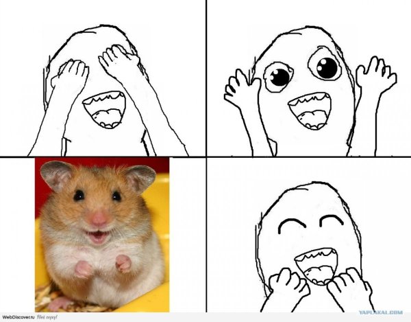 Мемы с хомяками