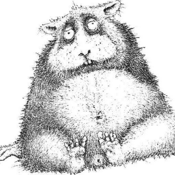 Смешные хомячки