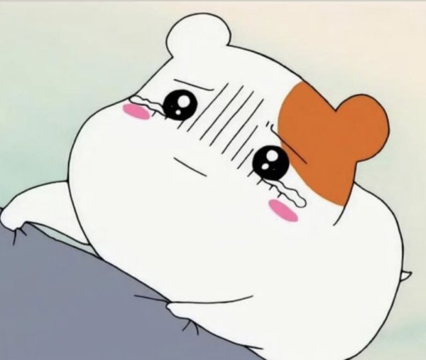 Хомяк хамтаро