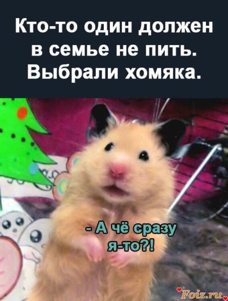 Испуганный хомяк