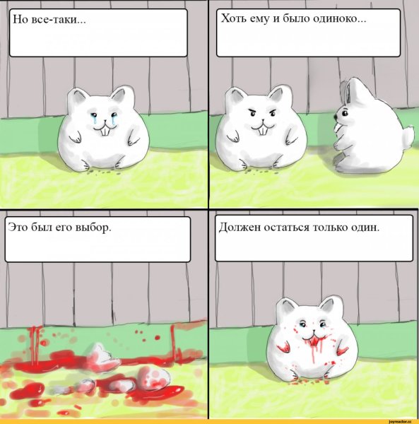 Мемы про хомяков