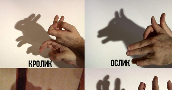 Приколы с тенью руками