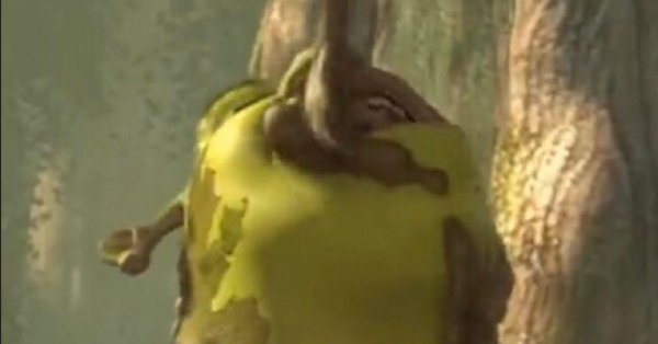 Шрек в грязи Мем