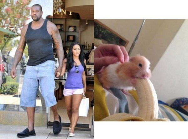 Шакил о Нил с женой