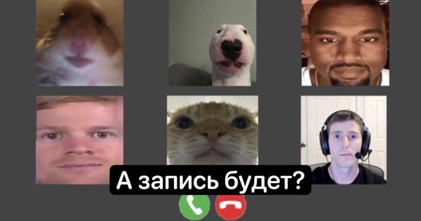 Смешные фото для мемов