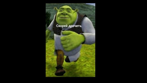 Зря БЫКАНУЛ Шрек Мем