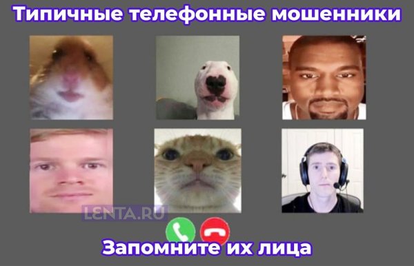 Мемы про видеоконференции